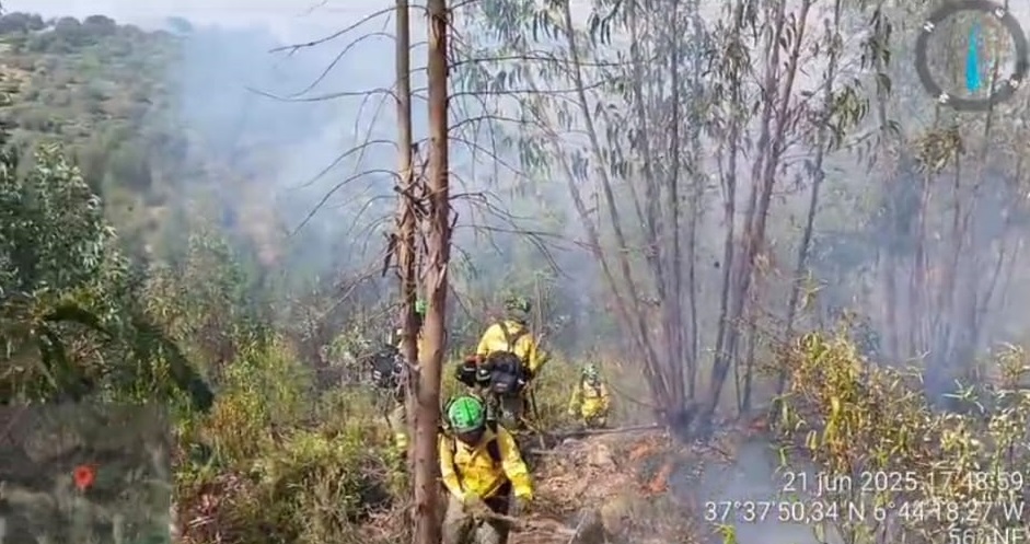 Imagen del artículo La Junta eleva el Plan Infoca a fase de emergencia por un incendio forestal en Zalamea la Real